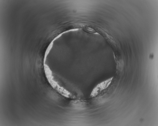 X0000116480331201001201347