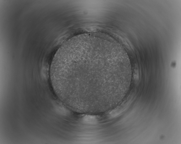X0000116480332201001201347