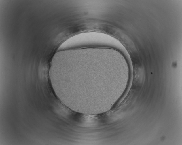 X0000116480333201001201347