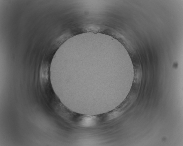 X0000116480334201001201347