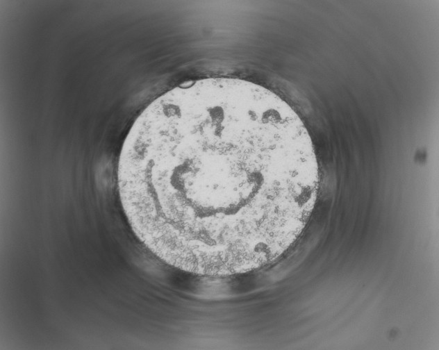 X0000116480335201001201347