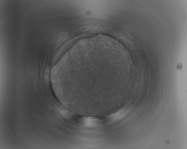 X0000116480336201001201347