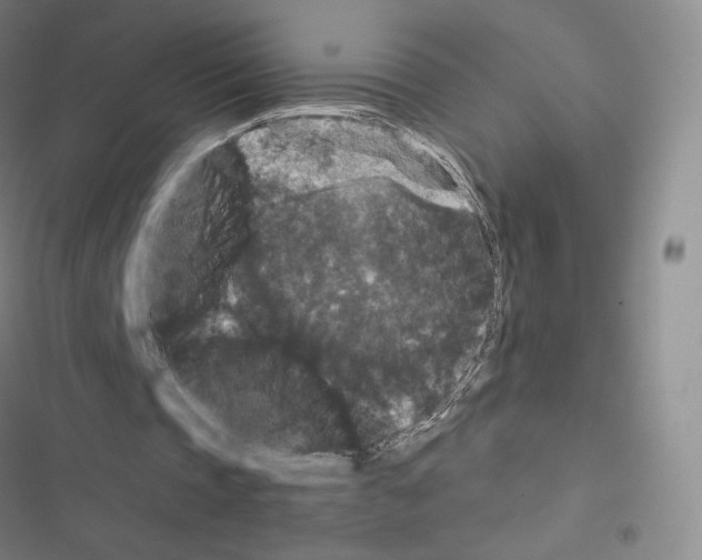 X0000116480337201001201347