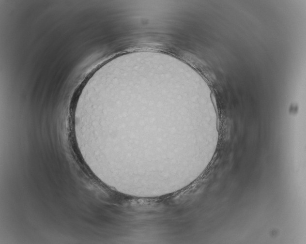 X0000116480338201001201347