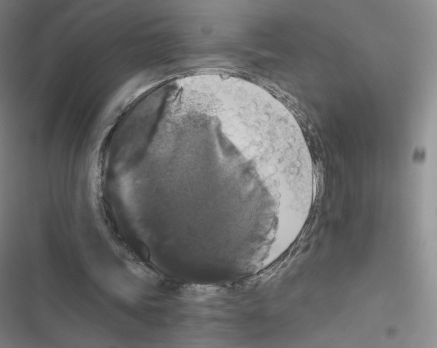 X0000116480339201001201347