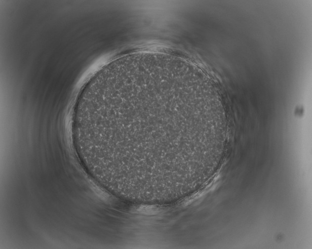 X0000116480341201001201347