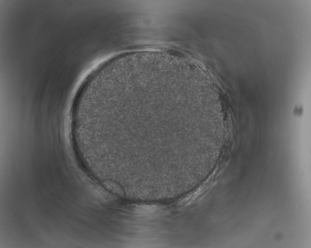 X0000116480342201001201347