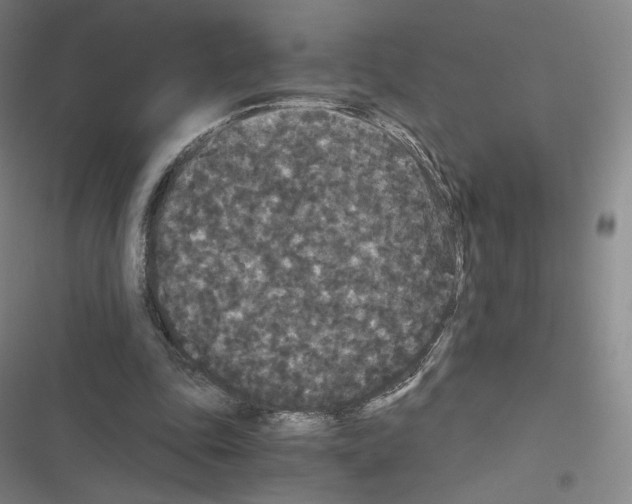 X0000116480343201001201347