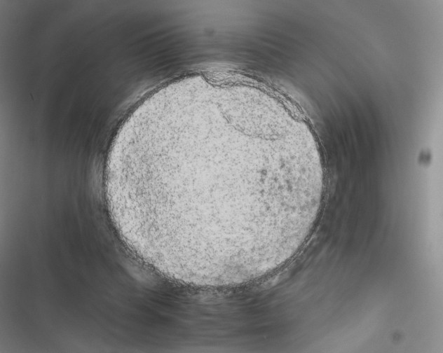 X0000116480345201001201347