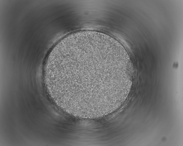 X0000116480346201001201347