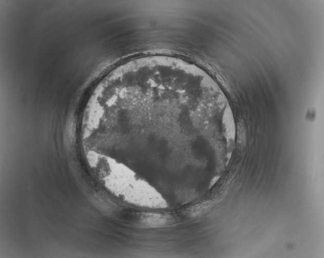 X0000116480347201001201347