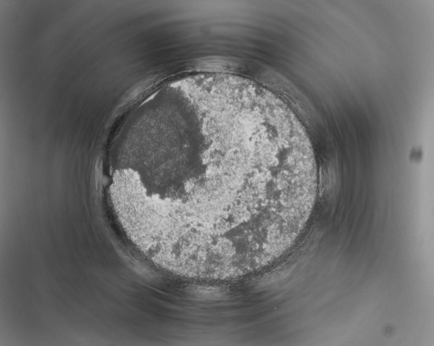 X0000116480349201001201347