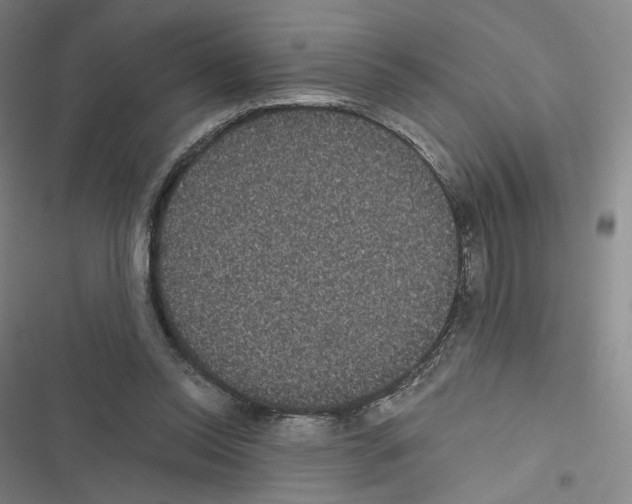 X0000116480350201001201347