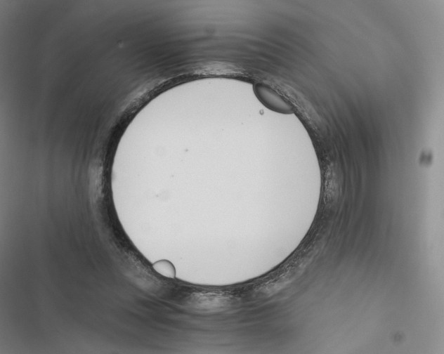 X0000116480351201001201347