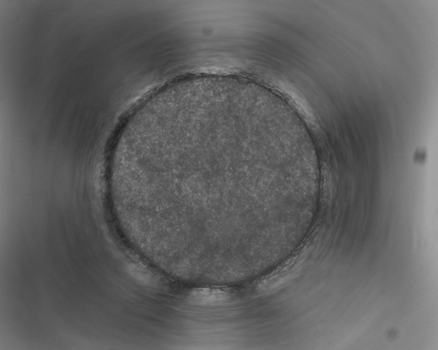 X0000116480354201001201347