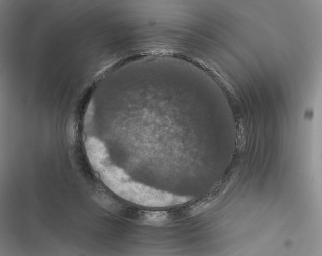 X0000116480355201001201347