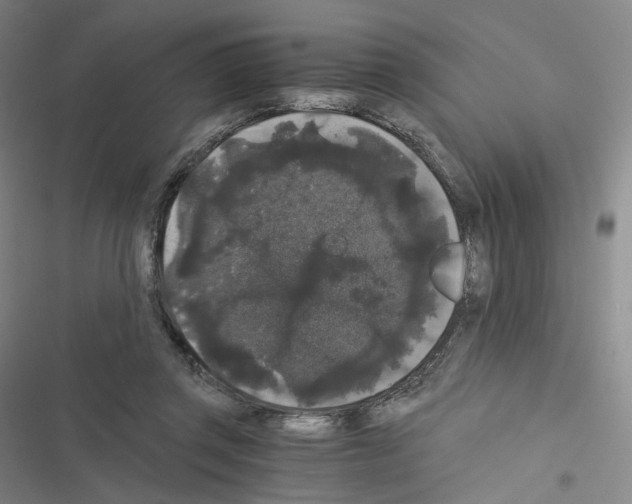 X0000116480357201001201347