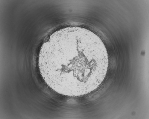 X0000116480358201001201347