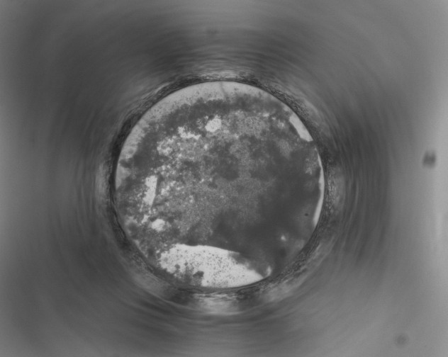 X0000116480359201001201347