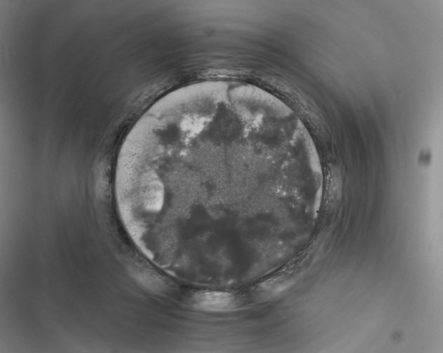X0000116480361201001201347