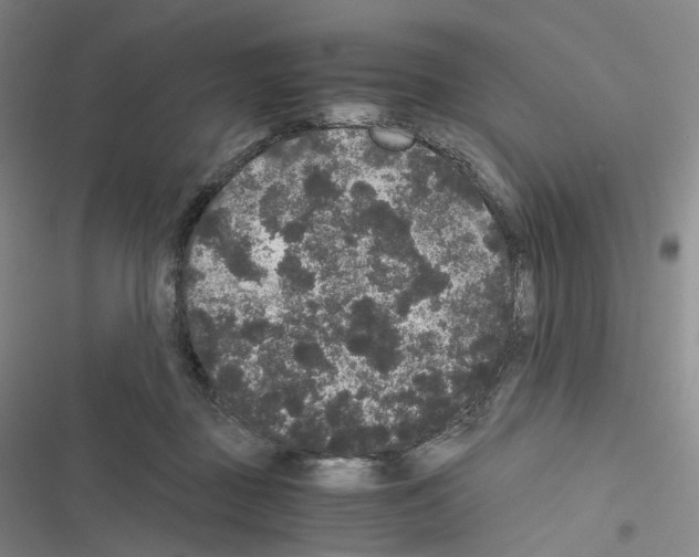 X0000116480363201001201347