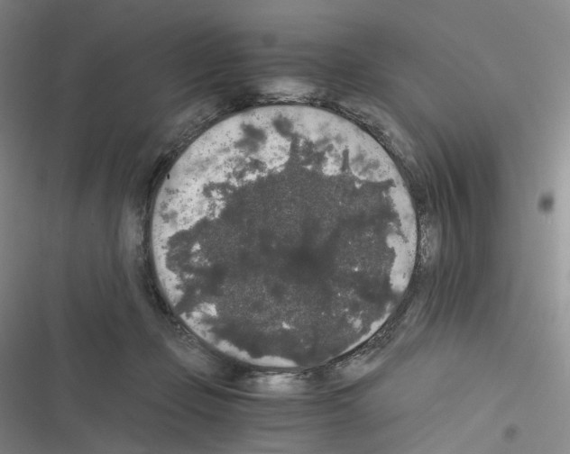 X0000116480365201001201347