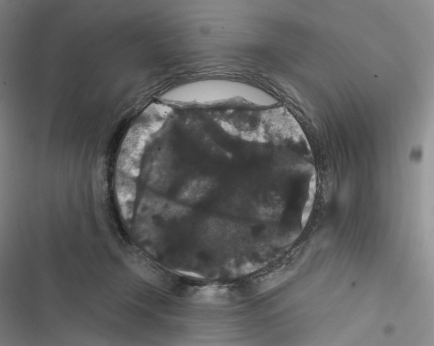 X0000116480366201001201347