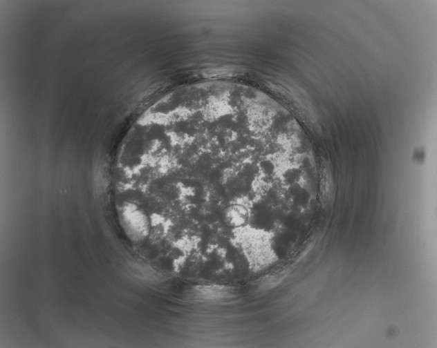 X0000116480367201001201347