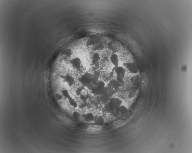 X0000116480369201001201347