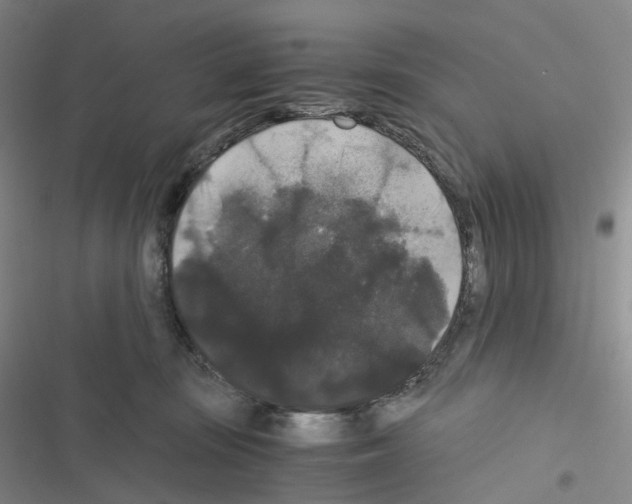 X0000116480371201001201347