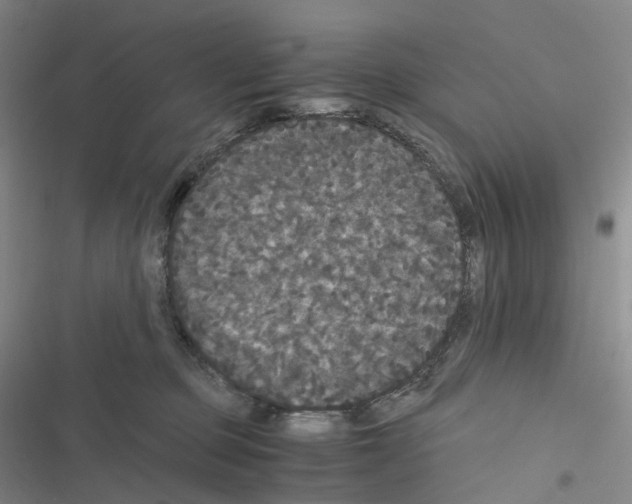 X0000116480373201001201347