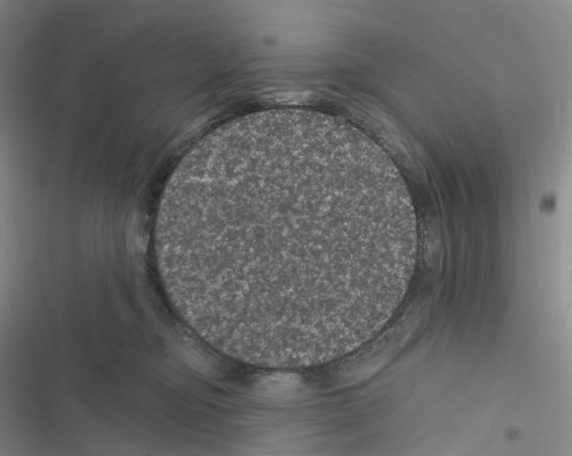 X0000116480374201001201347