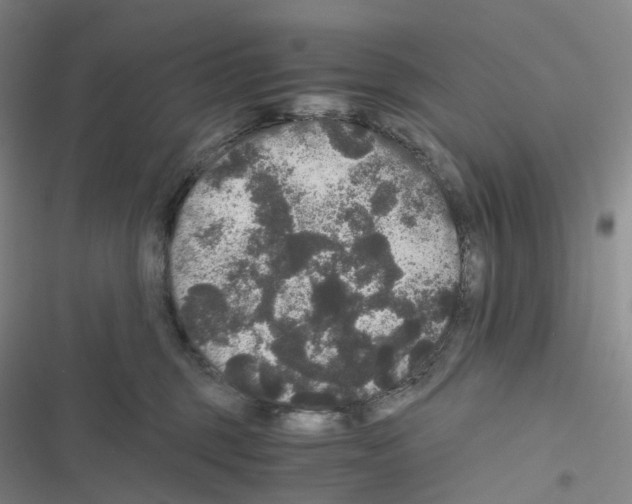 X0000116480375201001201347