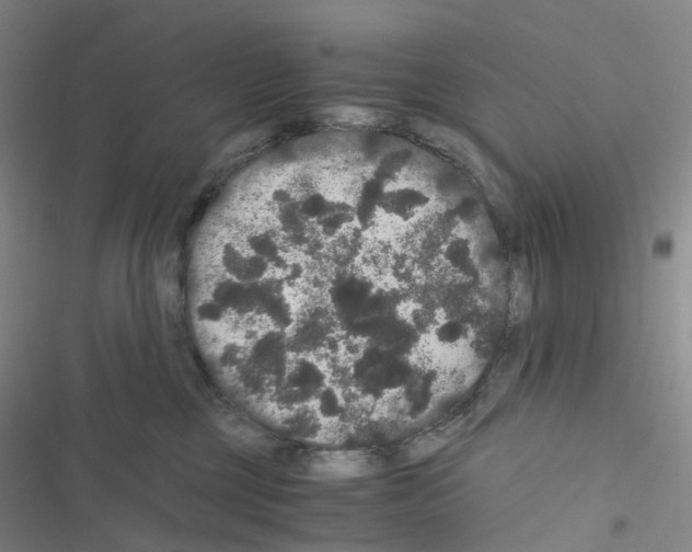 X0000116480377201001201347