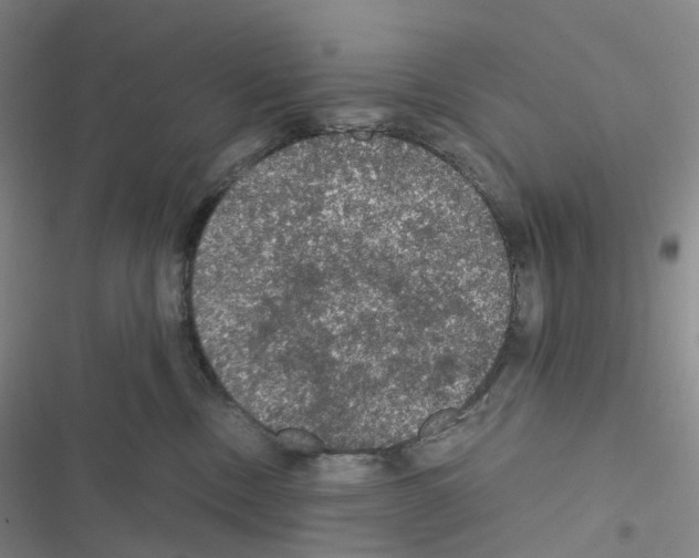 X0000116480378201001201347