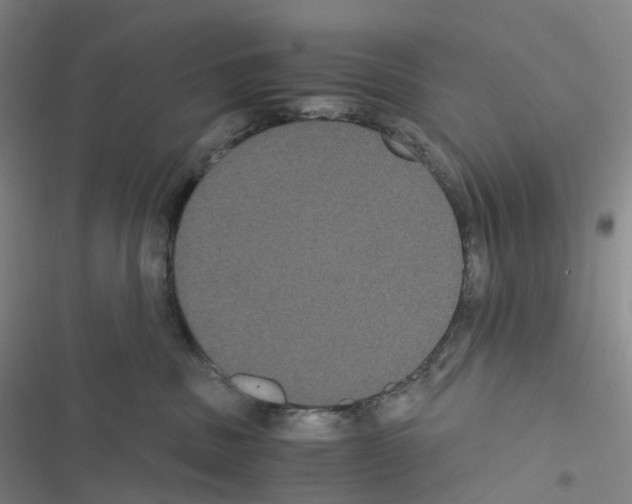 X0000116480379201001201347