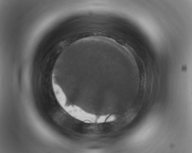 X0000116480383201001201347
