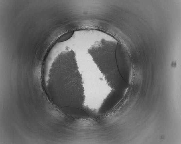X0000116480386201001201347