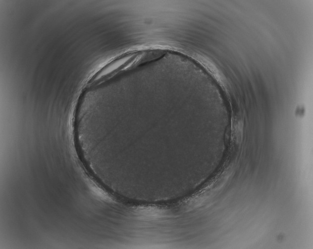 X0000116480389201001201347