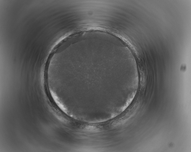 X0000116480390201001201347