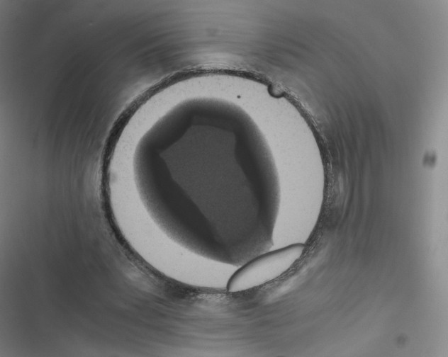 X0000116480391201001201347