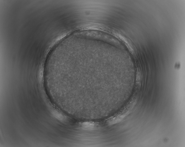 X0000116480394201001201347