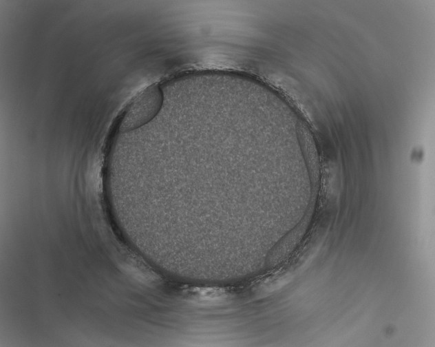 X0000116480395201001201347