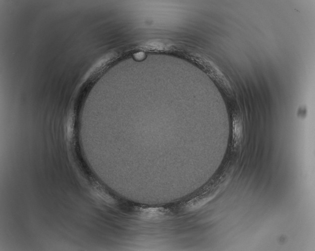 X0000116480396201001201347