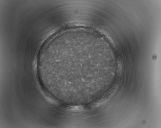 X0000116480398201001201346