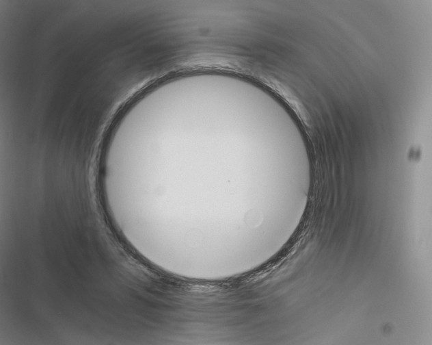 X0000116480399201001201346