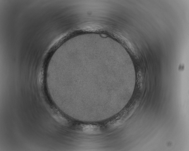 X0000116480400201001201346