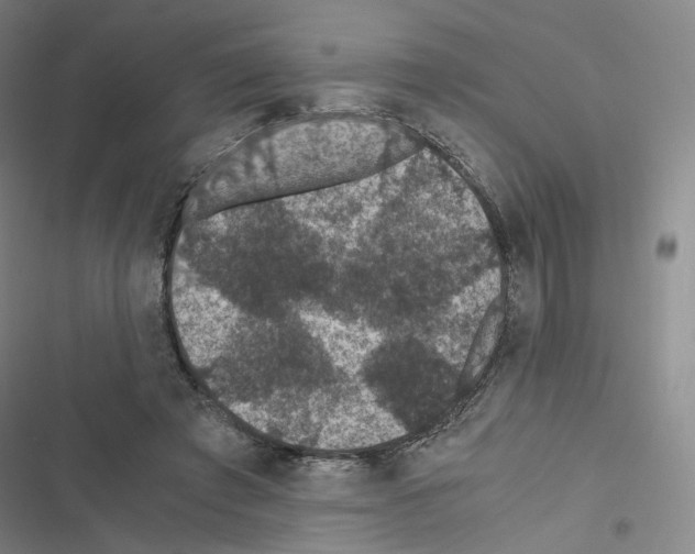 X0000116480401201001201346
