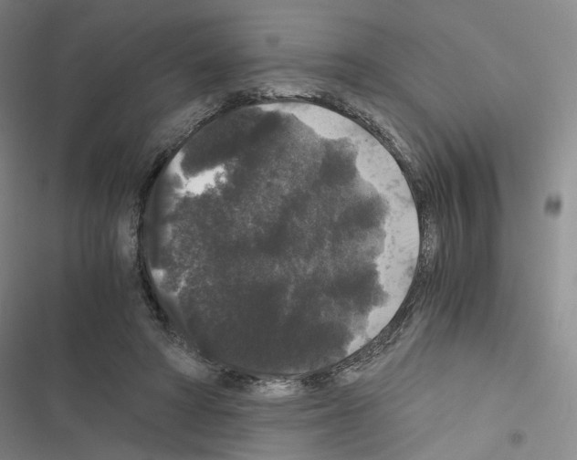 X0000116480402201001201346