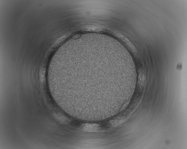 X0000116480403201001201346